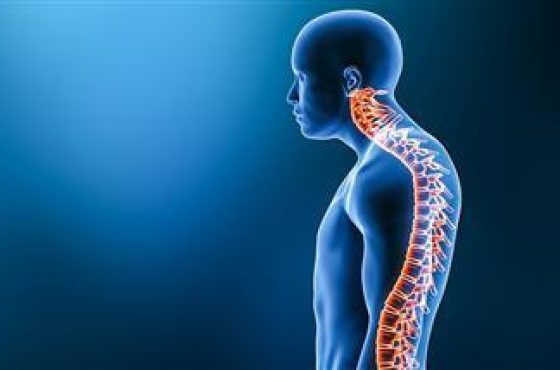 curved-back-kyphosis