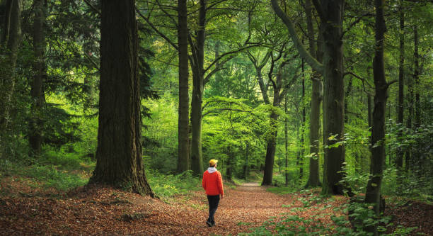 istockphoto-2195841688-612x612