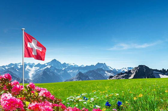 Swiss flag with mountains, alpine roses and encian