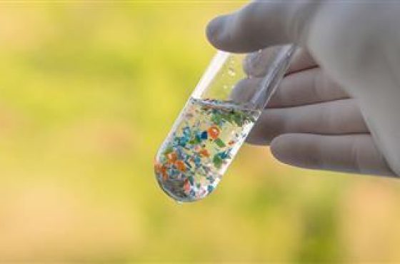 microplastics-chronic-disease